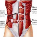 Как накачать пресс в домашних условиях