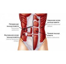 Как накачать пресс в домашних условиях